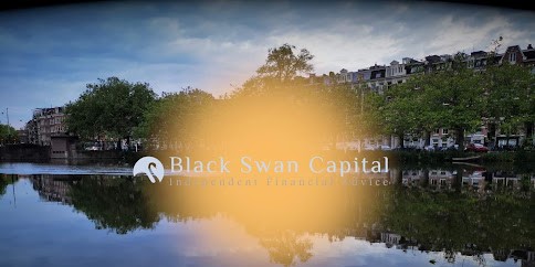 Black Swan Capital BV thumb 2